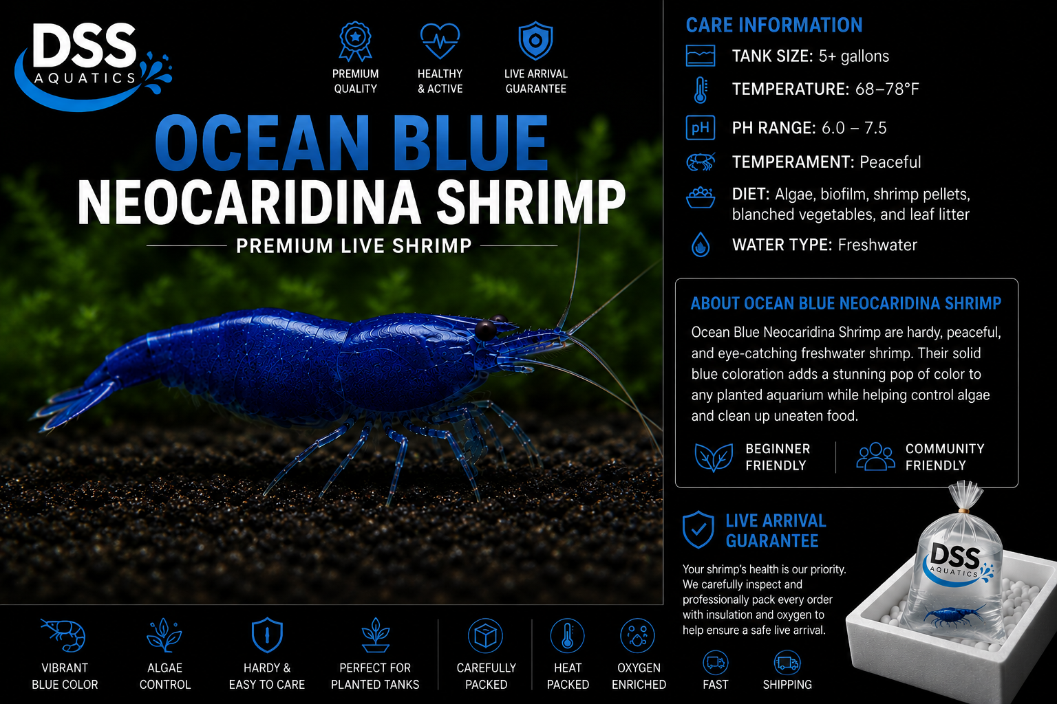Ocean Blue Neocaridina Shrimp | DSS Aquatics - Image 2