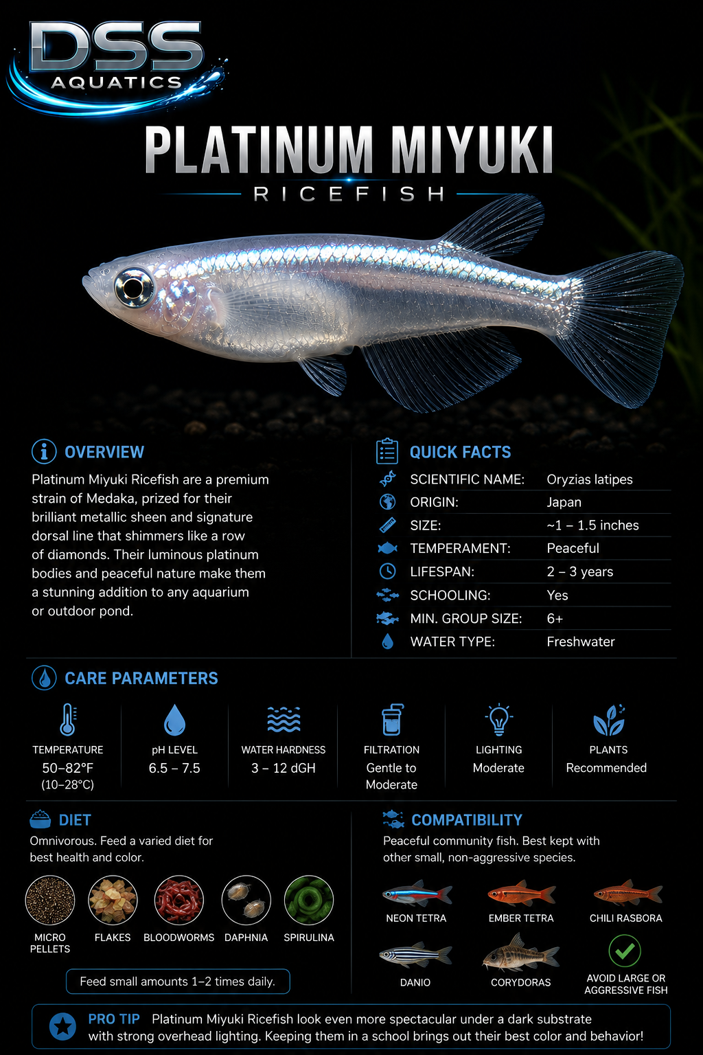 Platinum Miyuki Ricefish - Image 2