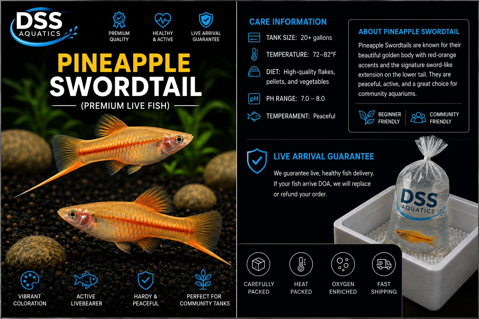 Pineapple Swordtail – Premium Livebearer Fish - Image 2