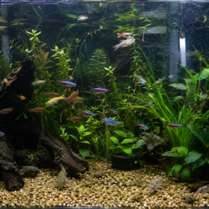 Community Fish